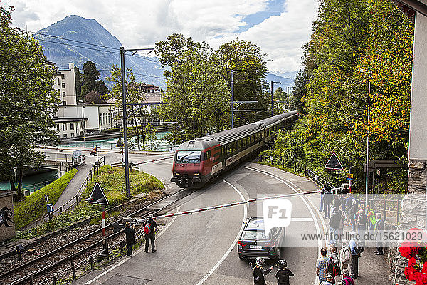 Ein Zug kreuzt die Straße in Interlaken  Schweiz  am Fuße der Alpen.
