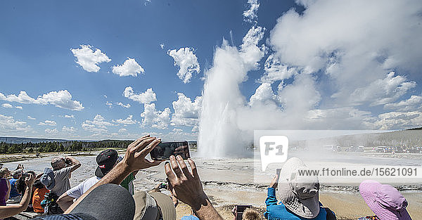 Tourists watching erupting Great Fountain Geyser  Yellowstone National Park  Wyoming  USA