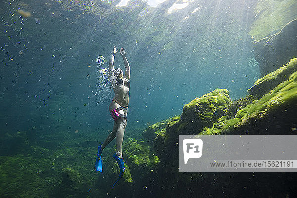 Unterwasseransicht einer Frau im Bikini beim Schnorcheln ï¾ Cenoteï¾ el Eden  Riviera Maya ï¾ Playaï¾ delï¾ Carmen ï¾ Quintanaï¾ Roo ï¾ Mexiko