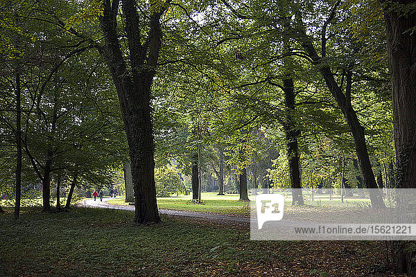 Potsdam  Germany: San Souci Palace and grounds. From Germany's official tourism information website Sanssouci Palace floats above the six terraces of a verdant vineyard like a mediterranean dream. One of the most famous royal residences in the world  it is situated in the eastern section of Sanssouci Park. The Prussian King Frederick II had a magnificent work of art created out of nothing in a provincial backwater. He ascended the throne in 1740  aged 28  and under him Prussia grew into the continent's fifth major power  earning him the sobriquet ï¿½ï¿½ï¿½the Greatï¿½ï¿½ï¿½. But he thought the palaces in Berlin and Potsdam too large  and he hated court etiquette. As he wrote to his sister Wilhelmine in Bayreuth  he preferred country life a thousand times to life in the city or at court. While other regents had huge representative buildings constructed for themselves  Prussia's great king preferred a small  private palace.In 1747  Frederick's ï¿½ï¿½ï¿½vineyard summer residenceï¿½ï¿½ï¿½ was built on a hill on the outskirts of Potsdam by his friend  the architect Wenzeslaus von Knobelsdorff. The king himself designed the layout and decided on a single-storey  ground-level building  against the fashion of the time. With its picturesque views of the countryside  this is where the Prussian king wanted to spend the summer months ï¿½ï¿½ï¿½sans souciï¿½ï¿½ï¿½ (without a care) while pursuing his personal interests  as well as affairs of state.Sanssouci Park and its palaces were designated a UNESCO World Cultural Heritage site in 1990.