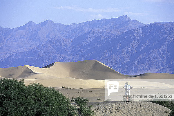 USA  California  Death Valley National Park  Hiker walks among sand dunes at sunrise