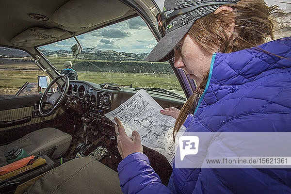 Eine Frau schaut in ihrem Toyota Land Cruiser von 1990 auf eine Landkarte  während sie in Montana unterwegs ist.