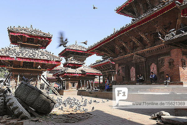 Pigeons On The Durbar Square Of Kathmandu