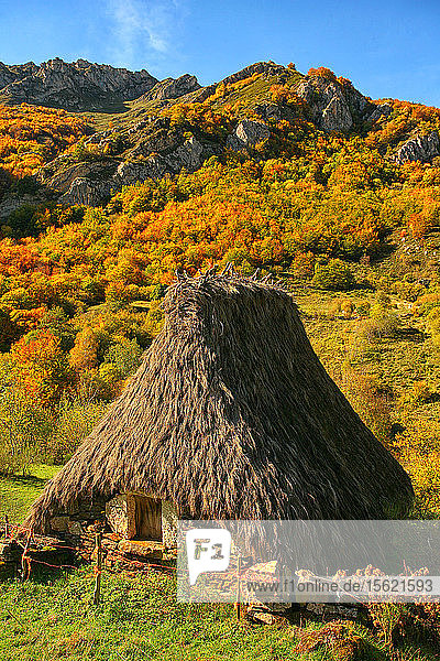 Traditionelle Teito-Hütte im Valle de Lago im Somiedo-Nationalpark in Asturien in Spanien