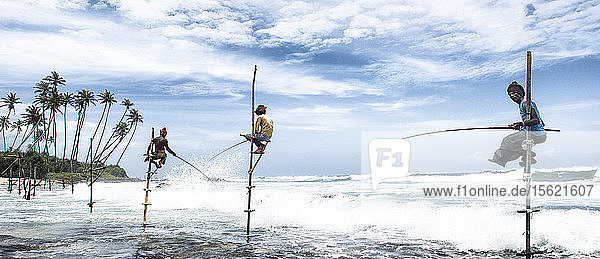 Gruppe von Stelzenfischern beim Fischen im Meer  Sri Lanka