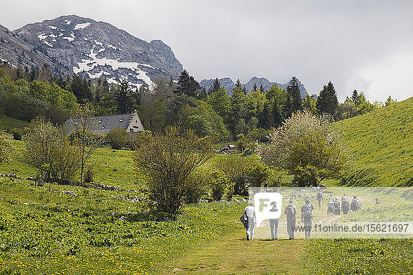 Wanderer nähern sich der Auberge des Alli?ï¿½res zum Abendessen im Parc Naturel Rï¿½gional du Vercors  Frankreich. Die Wanderer sind allesamt Glaziologen  die zu einer Konferenz des Laboratoire de Glaciologie et G?ï¿½ophysique de l'Environment im nahe gelegenen Grenoble gekommen sind.