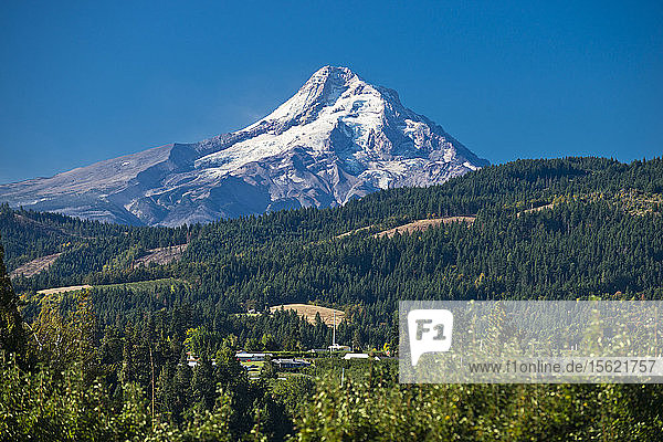 A view of Mt. Hood on a sunny day from Hood River Oregon