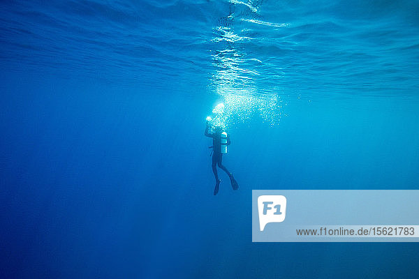 Photograph of scuba diver swimming underwater  Lake Tahoe  California  USA