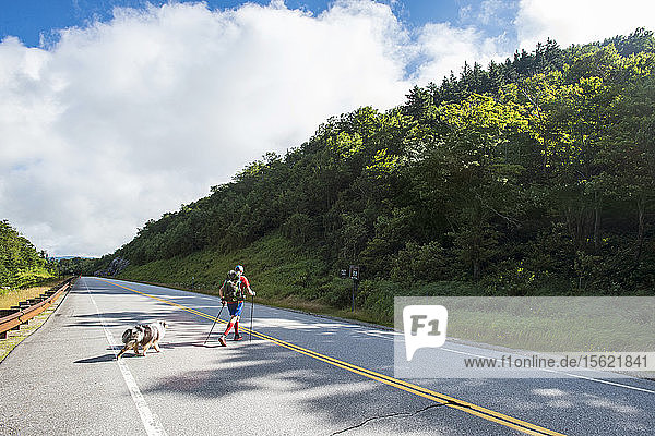 Mann mit seinem Hund beim Überqueren der Straße beim Wandern in den Weißen Bergen