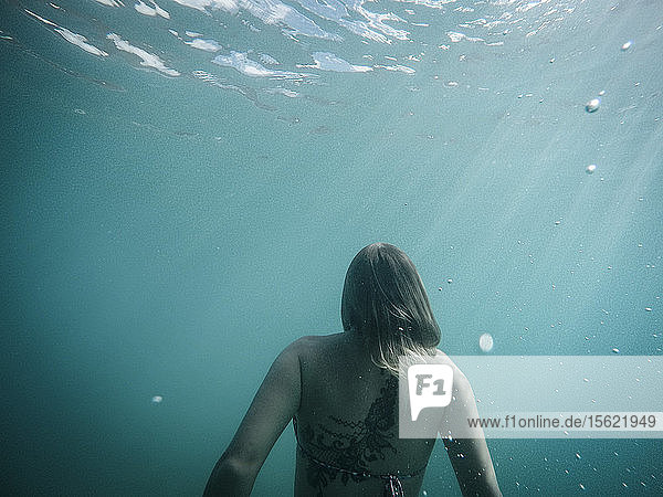 Rear view of woman swimming underwater  St. John  US Virgin Islands  USA