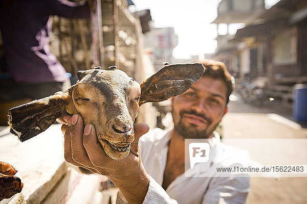 Ein Straßenhändler hält einen Ziegenkopf in Jaipur  Indien.
