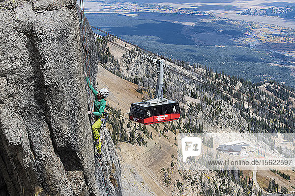Female climber climbing rock face with mountains and Jackson Hole gondola in background Jackson Hole Wyoming USA