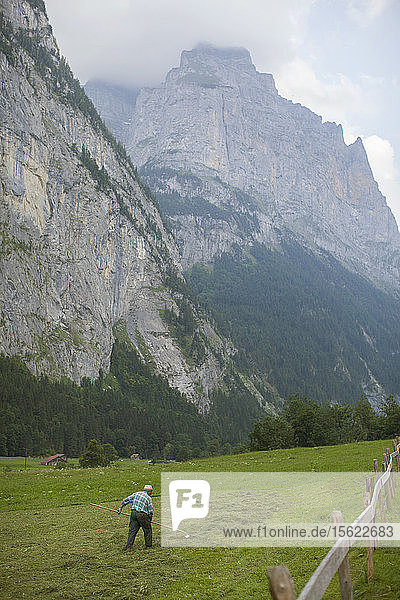 Ein nicht identifizierter Mann arbeitet auf einer grünen Wiese am Fuße der großen Berge in Lauterbrunnen. Schweiz.