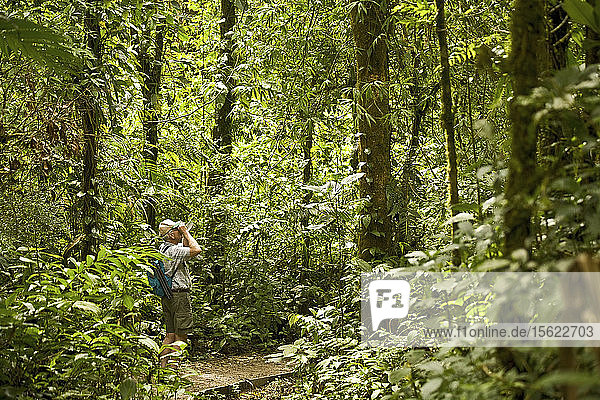 A male hiker looking through binoculars in Monteverde Cloud Forest  Costa Rica