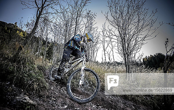 A mountainbiker is riding down a trail in a Bike-Park near Bad Hindeland  Germany.