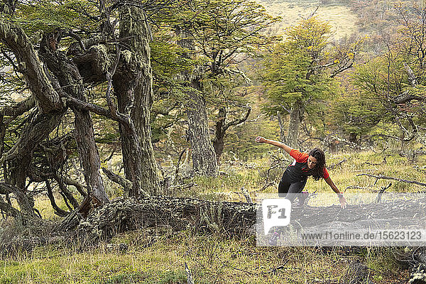 Woman jumping over log while trail running in Torres del Paine National Park  Magallanes Region  Chile