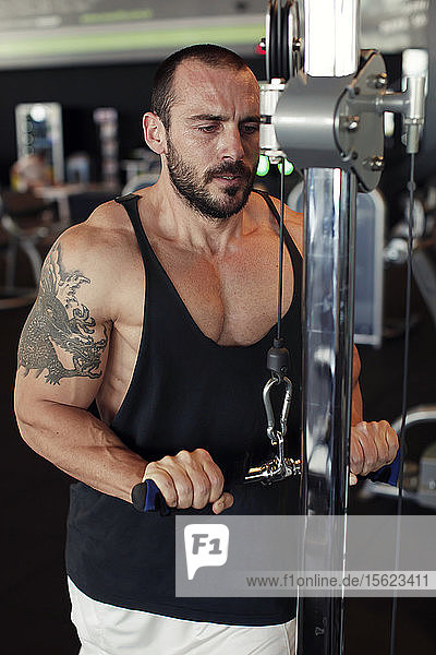 Portrait of muscular man training on special sport equipment in gym