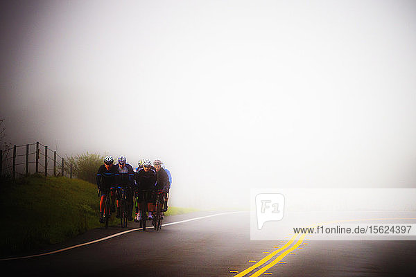 Fahrradfahrer bei einer nebligen Fahrt am frühen Morgen in Marin County  Kalifornien. Die Schärfe in diesem Bild ist weich.