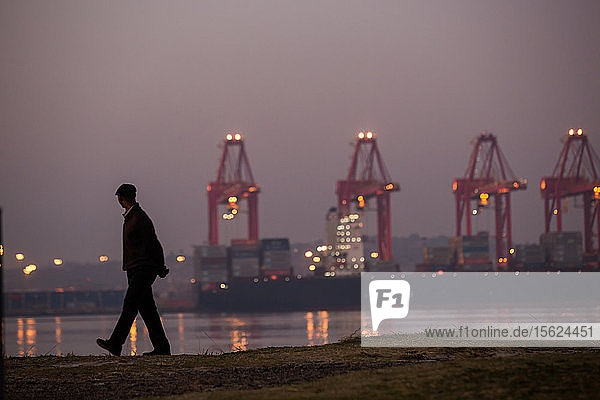 Mann mit Blick auf den Hafen von Durban in der Morgendämmerung  voller Container  Schiffe und Kräne von Wilson's Wharf aus gesehen  Durban  Südafrika
