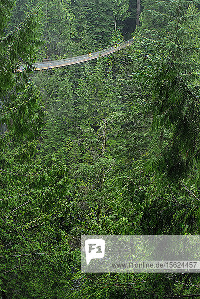 Scenics from the Capilano Suspension Bridge. North Vancouver  British Columbia