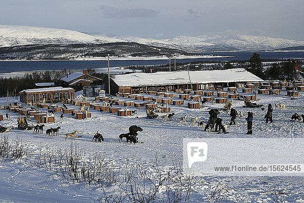 Wanderung mit Hundeschlittenfahrt in Tromso  Norwegen Villmarkssenter. Touristen fahren auf Hundeschlitten.
