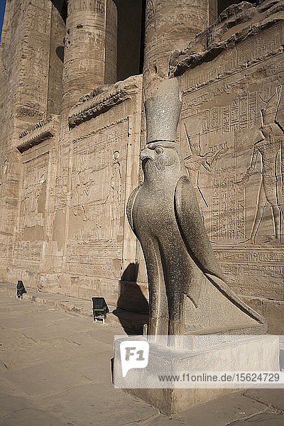 Statue Of The God Horus As A Falcon In Edfu Temple Egypt