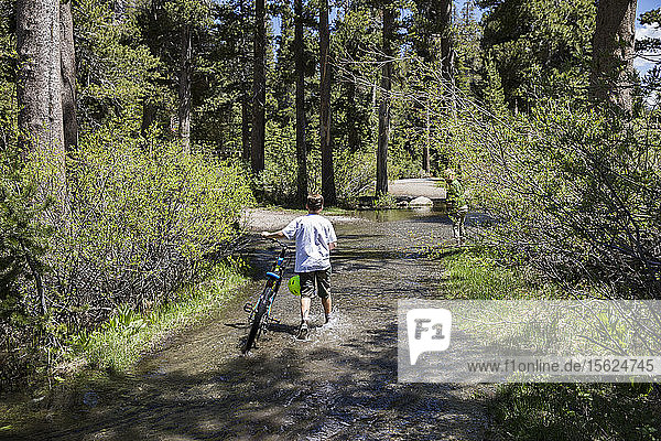 Rückansicht eines Jungen im T-Shirt  der sein Fahrrad durch einen überfluteten Wald schiebt  östliche Sierras  Mammoth Lakes  Kalifornien  USA
