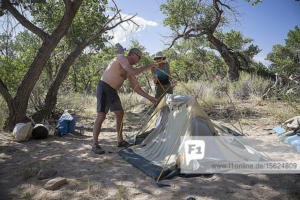 Ein Mann und eine Frau bauen während einer Rafting-Tour auf dem Green River ein Zelt auf  Desolation/Gray Canyon Section  Utah  USA