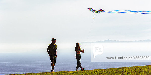 Father and daughter with kite walking on beach