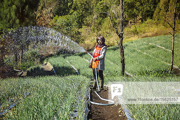 Bäuerin bewässert Plantage mit Schlauch  Bali  Indonesien