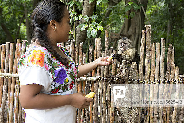 Junge lächelnde Frau in traditioneller Kleidung füttert einen Affen in der Nähe der Stadt Coba in Quintana Roo  Mexiko