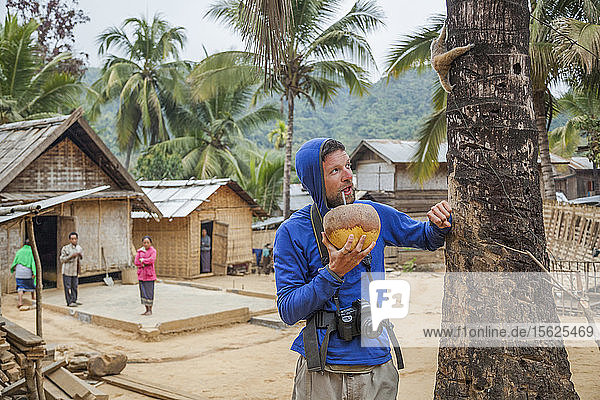Robert Hahn nippt an einer Kokosnuss  während ein langsamer Loris (Nycticebus sp.)  der aus dem umliegenden Wald gefangen und als Haustier gehalten wurde  eine Kokosnusspalme in Ban Had Dan  Laos  erklimmt.