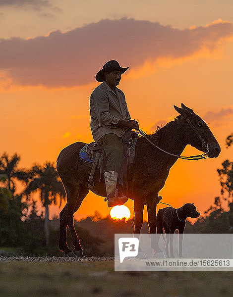 Campesino sitzend auf Pferd mit Hund bei Sonnenuntergang