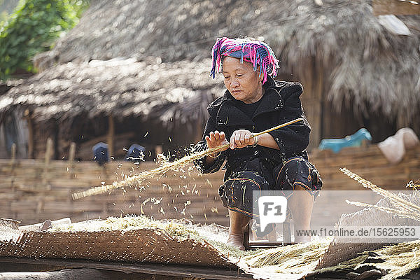 Eine Frau schüttelt in Muang Hat Hin  Laos  die Samenschalen von getrockneten Grashalmen  die als Füllung für Matratzen dienen.