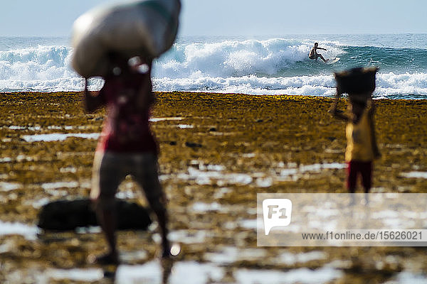 Surfer auf einer Welle im Hintergrund und Menschen mit Säcken im Vordergrund  Lakey Peak  Zentral-Sumbawa  Indonesien