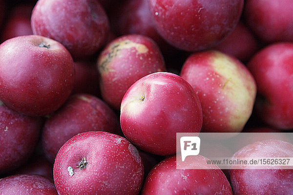 Close up of farm fresh apples. California  USA.