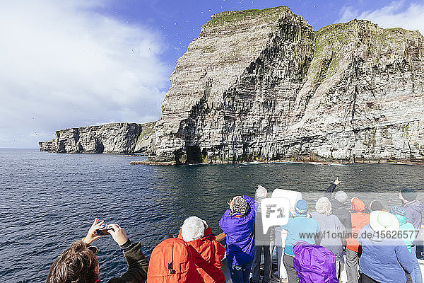 Ship passengers looking at view of sandstone cliffs  Noss  Shetland Islands  Scotland  UK
