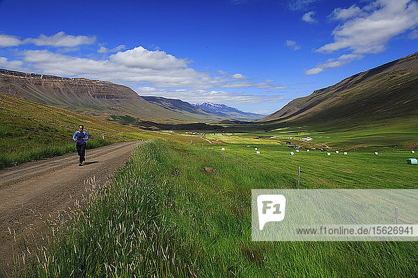 Mann joggt auf einem unbefestigten Weg in einem Bergtal neben grasenden Schafen  Island