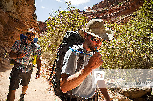 Two friends backpacking through the Grand Canyon.
