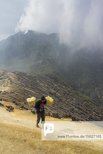 Miners hiking out of the crater with sulfur  Kawah Ijen volcano  Banyuwangi  Java  Indonesia