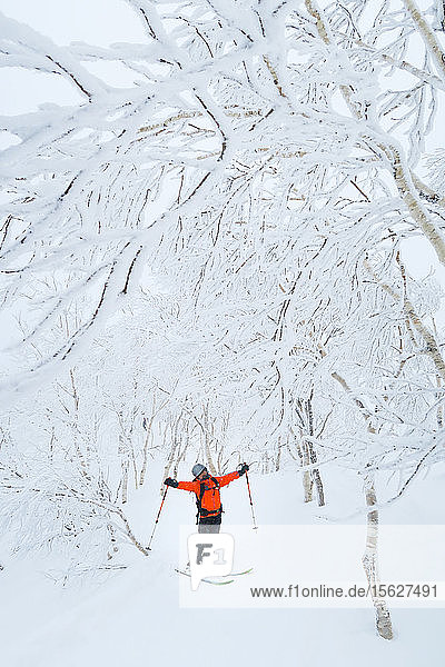 Eine Skifahrerin steht in einer wunderschönen Berglandschaft mit schneebedeckten Bäumen in der Nähe des Skigebiets von Rusutsu auf Hokaido  Japan. Hokkaido  die Nordinsel Japans  liegt geografisch ideal in der Bahn beständiger Wettersysteme  die kalte Luft aus Sibirien über das Japanische Meer bringen. Dies führt dazu  dass viele der Skigebiete mit Pulverschnee überschwemmt werden  der für seine unglaubliche Trockenheit bekannt ist. In einigen der Skigebiete von Hokkaido fallen durchschnittlich 14-18 Meter Schnee pro Jahr! Mit einem durchschnittlichen jährlichen Schneefall von über 14 Metern bietet das Rusutsu Resort einige der unglaublichsten Tiefschnee- und Baumpisten der Welt. Häufig ist der Pulverschnee unglaublich trocken; man fährt praktisch ohne Widerstand durch ihn hindurch. Next by Kiroro wurde in der Ausgabe Best of the World 2016 des National Geographic Traveler als eines der 20 wichtigsten Reiseziele genannt.