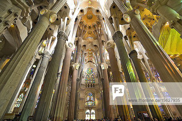 The ceiling of La Sagrada Familia in Barcelona  Spain.