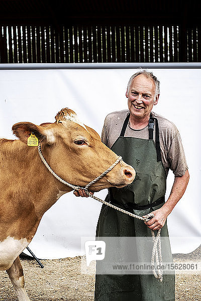 Portrait of male farmer wearing green apron smiling at camera with a Guernsey cow.