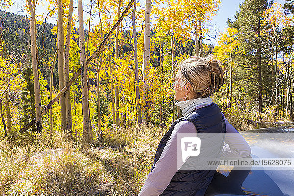 A blonde woman  hiker looking around at autumn aspen trees with bright yellow leaves.