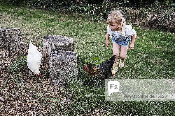 Blondes Mädchen und zwei Hühner stehen neben Baumstümpfen in einem Garten.