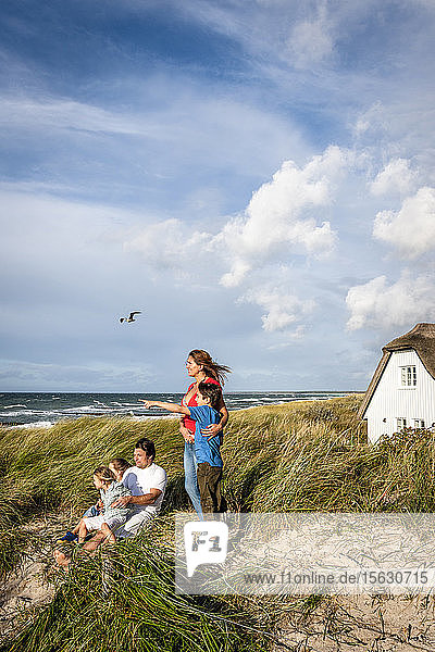 Familie in einer Stranddüne mit Aussicht  Darss  Mecklenburg-Vorpommern  Deutschland