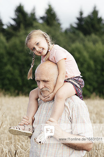 Portrait of happy little girl on grandfather's shoulders in an oat field