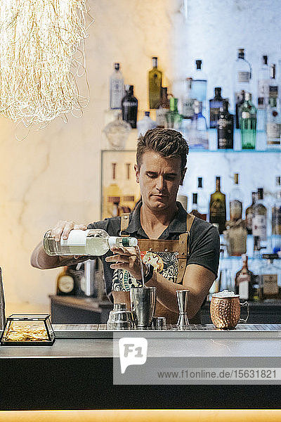 Bartender mixing cocktail in a bar  using cocktail mixer