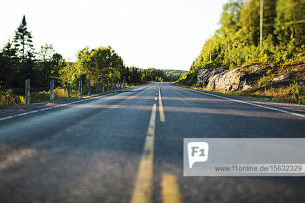 Empty road in Algonquin Provincial Park  Ontario  Canada