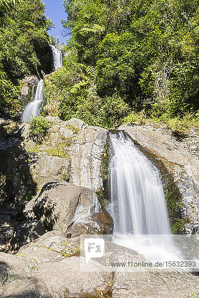 Upper Falls  Kaiate Falls  Bay of Plenty  Nordinsel  Neuseeland